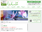 らんぷ鶯谷店