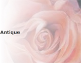 Antique～アンティーク