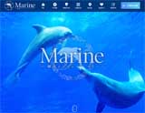 綱島メンズエステ Marine-マリン-