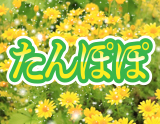 たんぽぽ