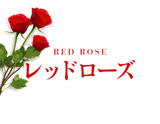 レッドローズ