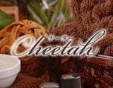 cheetah～チーター