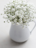 baby's breath～ベイビーズブレス