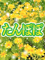 たんぽぽ