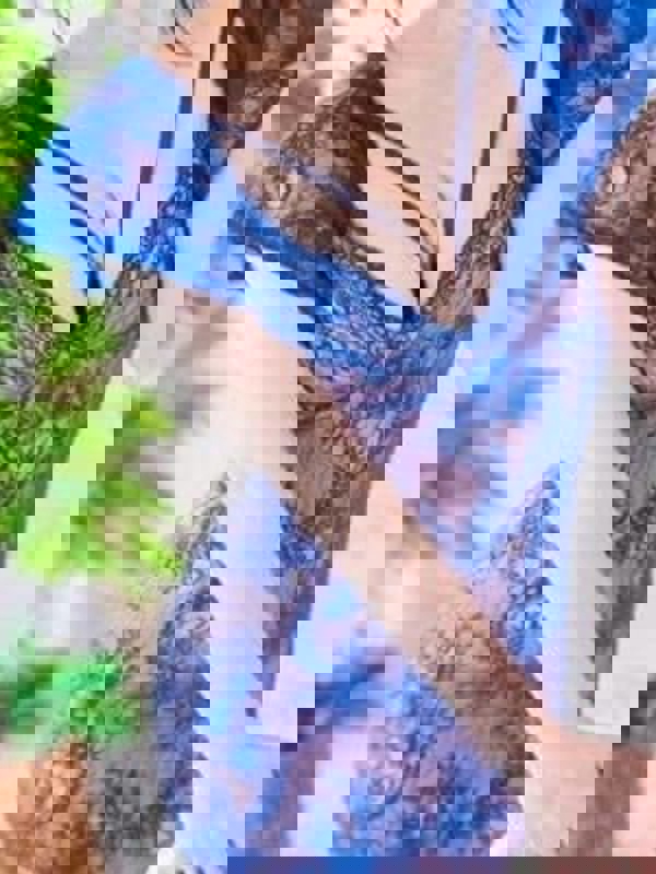 Mrs Crystal～ミセスクリスタル～出張店|舞