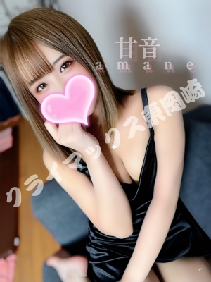 クライマックス東岡崎|甘音