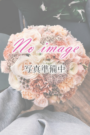 クライマックス東岡崎|本田翼