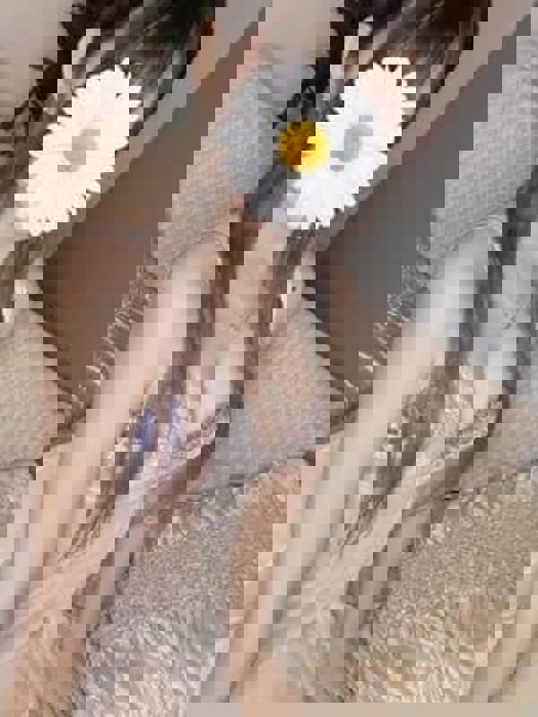 cheetah金山～チーター|あき