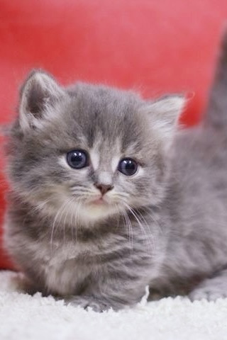 小岩メンズエステ Takumi Group〜タクミグループ|福田　みさと