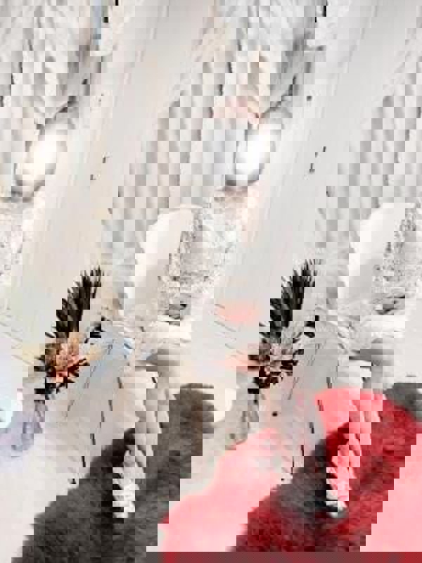 成増メンズエステGRACE-グレイス|糸井みさき（33）