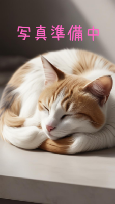 愛猫|芹沢 涼香(38)