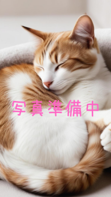 愛猫|雪咲 ほのか(33)