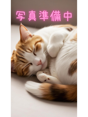 愛猫|白川 ひな(34)