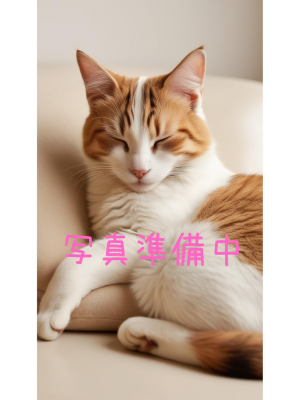 愛猫|美波あお（39）