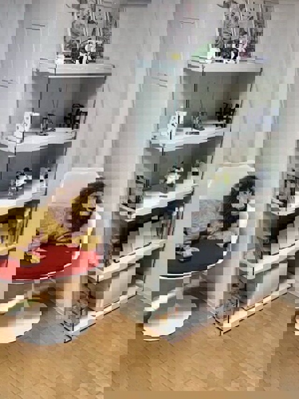 東京 a laise(アレイズ)SK 中野ルーム|荻窪北口ROOM