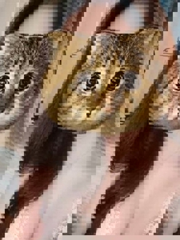 Oka-Spa(オカスパ)　岡崎ルーム|あいり