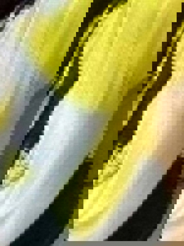 Oka-Spa(オカスパ)　岡崎ルーム|ひめか