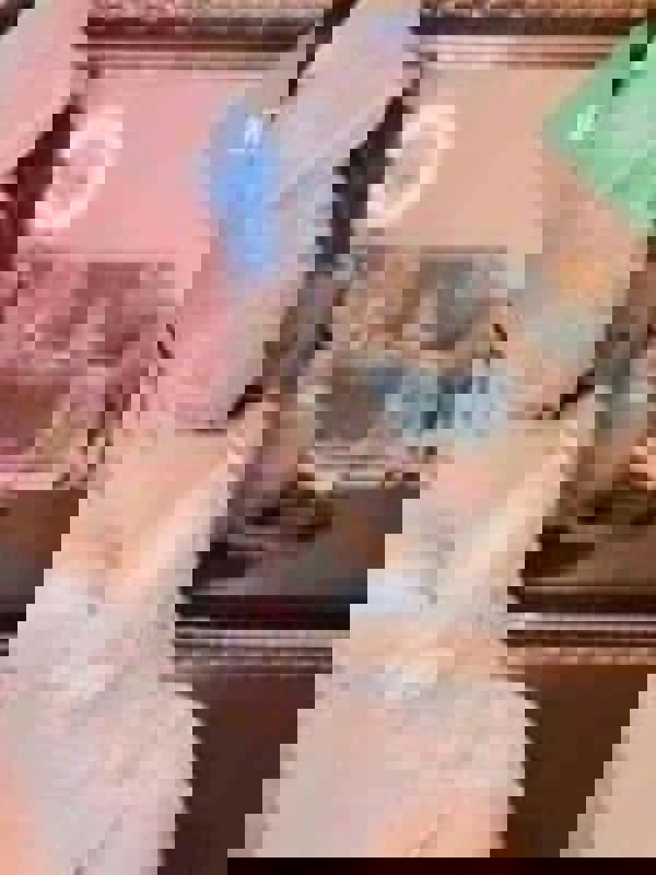 TORIHADA SPA～トリハダスパ|白石　あい