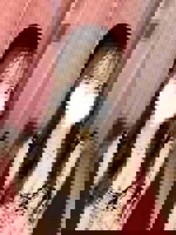 TORIHADA SPA～トリハダスパ|百瀬　みゆ