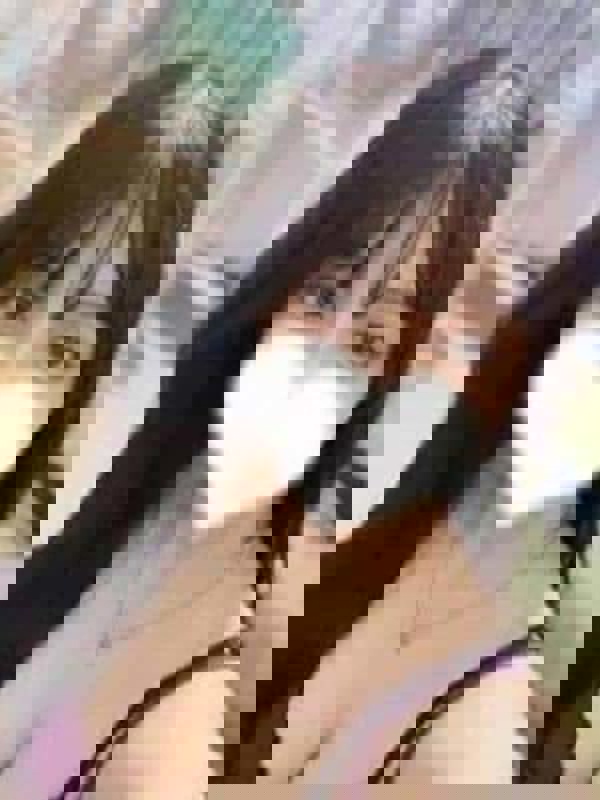 TORIHADA SPA～トリハダスパ 名駅ルーム|七海　りお