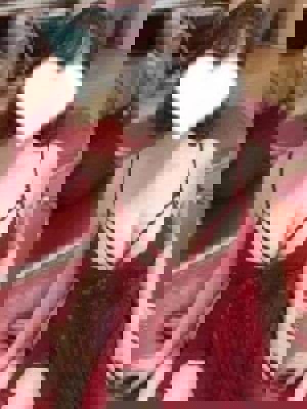 TORIHADA SPA～トリハダスパ|三上　ゆりな