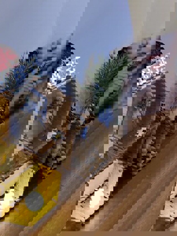 東京 Le Reve(ルレーヴ) CK 日暮里|大塚北口ROOM