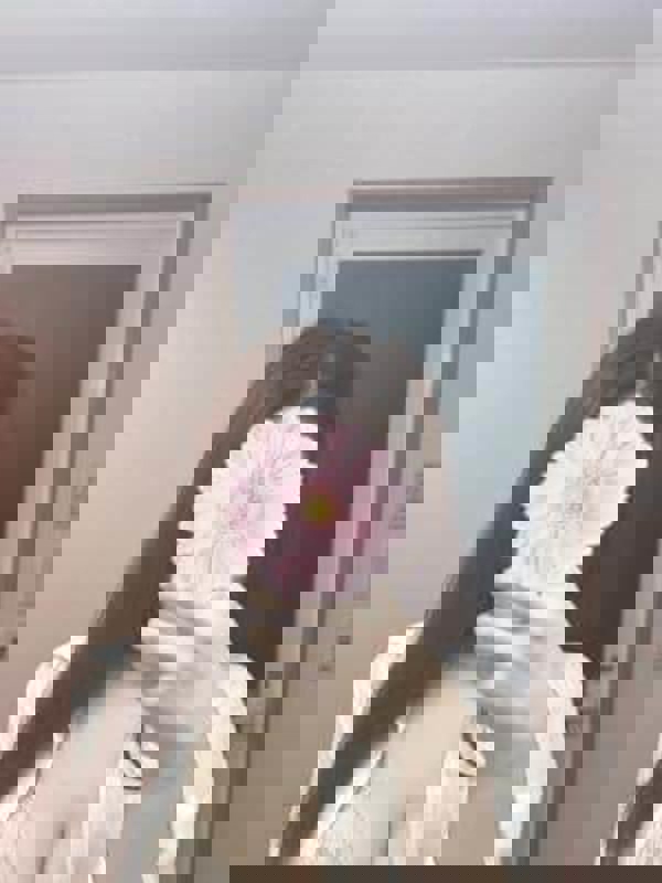 cheetah～チーター|ありす