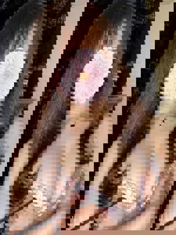 cheetah～チーター|さら