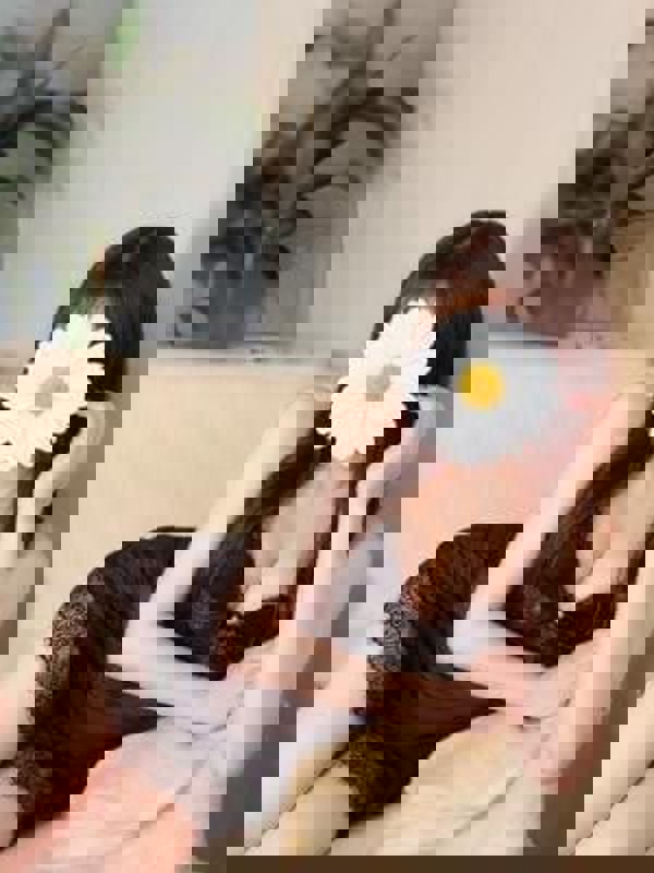 cheetah金山～チーター|おと