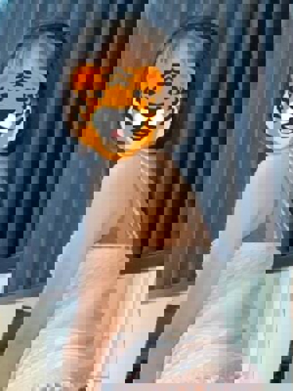 cheetah金山～チーター|しほ