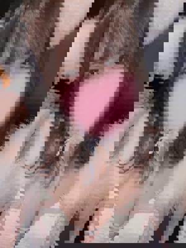 AromaModeste〜アロマモデスト〜練馬ルーム|桜井 つばさ