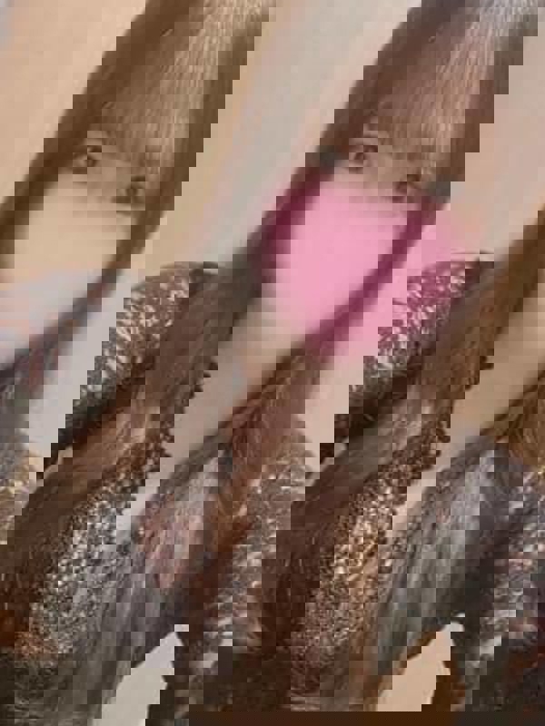 AromaModeste〜アロマモデスト〜巣鴨ルーム|藤咲 ひなの