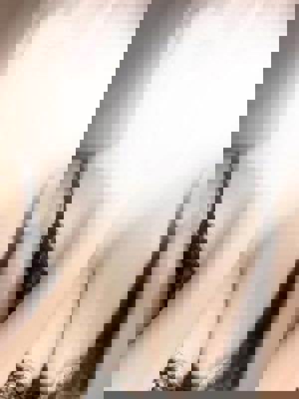 sirena～シレーナ|かれん