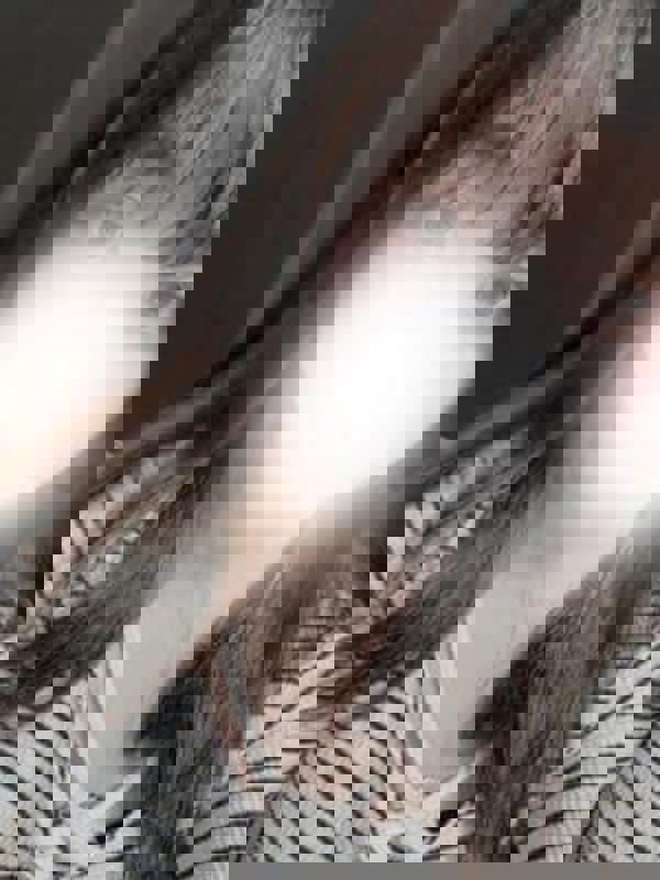 sirena～シレーナ|まや