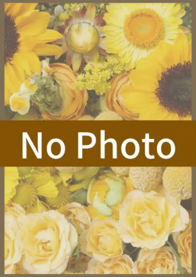 博多メンズエステ・メンズアロマ【Gerberaーガーベラ】~ルーム&出張メンエス|あみ