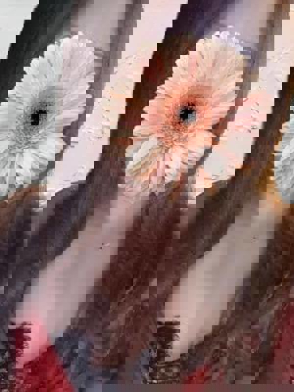 メンズエステ T-Ace|つばさ