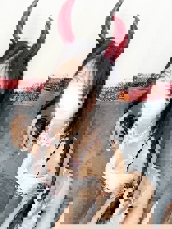 BJコレクション|えり元町ルーム