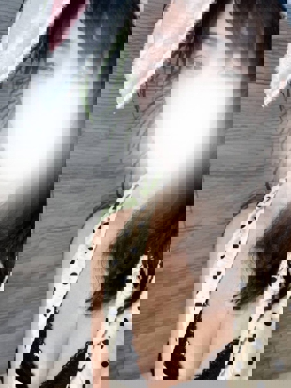 BJコレクション|みさき大通りルーム