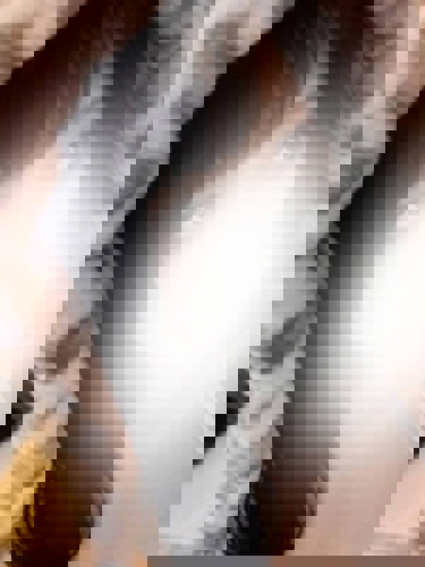 BJコレクション|ゆう　中島公園ルーム