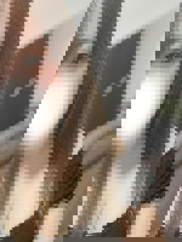 CIEL（シエル）|るな