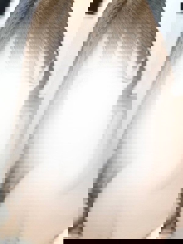 BJコレクション|のん　すすきの