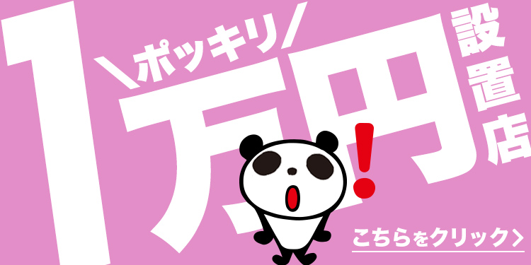 1万円ポッキリ
