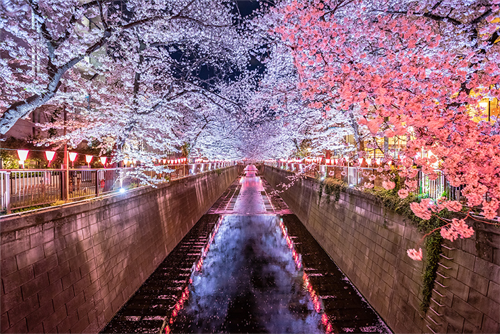 中目黒エリアのおすすめスポット